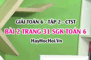 Giải bài 2 trang 31 Toán 6 Tập 2 SGK Chân trời sáng tạo